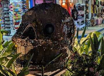 mexico/playa-del-carmen/attraction/playa-del-car