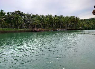 philippines/central-visayas/attraction/loay-firefly-watching