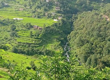 nepal/sudurpashchim-province/attraction/gundha-jhara-the-mystic-jungle