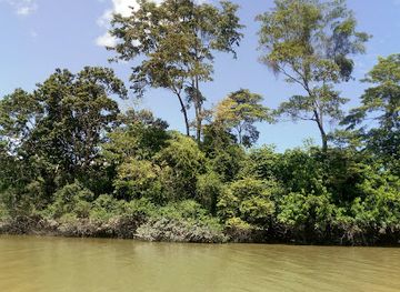 peru/pacaya-samiria-national-reserve/attraction/lago-sanango