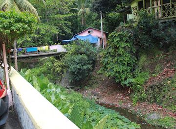 jamaica/east-end/attraction/bath-fountain