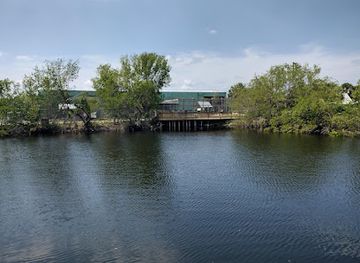 florida/fakahatchee-strand-preserve-state-park/attraction/animal-sanctuary-alligator-park