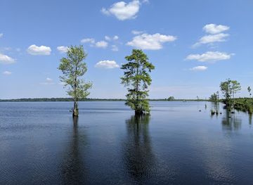 virginia/chesapeake-bay-region/attraction/great-dismal-swamp-national-wildlife-refuge