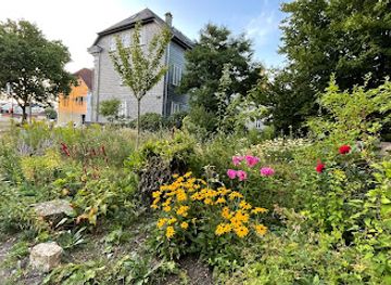 germany/teutoburg-forest/attraction/wilde-wiese