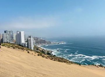 chile/valparaiso/attraction/concon-dunes