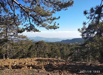 cyprus/troodos/attraction/gigantios-mavros-pefkos