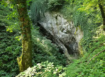Belojača