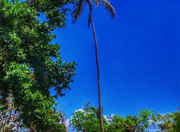 dominican-republic/samana/attraction/punta-balandra