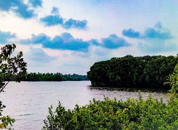 india/kochi/attraction/kalathara-backwater-view-point