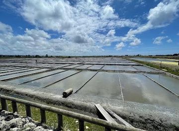 portugal/aveiro/attraction/marinha-da-noeirinha
