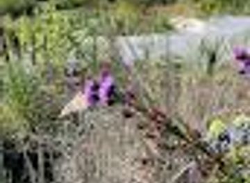 maine/brunswick/attraction/the-lyn-and-daniel-lerner-visitor-center