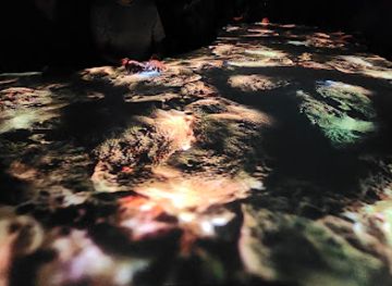 canada/eastern-townships/attraction/terra-mutantes