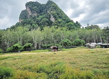 thailand/krabi/attraction/aonang-elephant-park