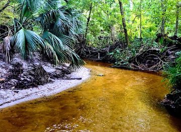 florida/gainesville-area/attraction/alfred-a-ring-park