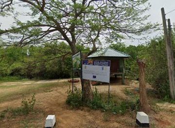 sri-lanka/arugam-bay/attraction/ureni-or-paladi-lagoon