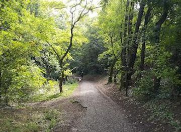 austria/vienna/attraction/vienna-woods