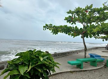costa-rica/cahuita-national-park/attraction/mirador-cahuita-boliv
