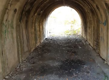 romania/hunedoara/attraction/tunelul-trenuletui