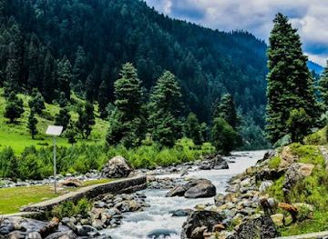 india/kashmir-valley/attraction/asar-kashmir-tour-and-travel