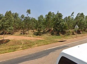 rwanda/butare/attraction/bungwe-queen-s-park-msc-ibisumizi