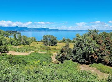 chile/los-rios-region/attraction/mirador-de-futrono