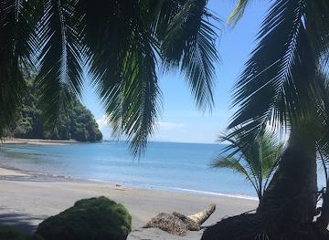 costa-rica/osa-peninsula/attraction/osa-wildlife-sanctuary