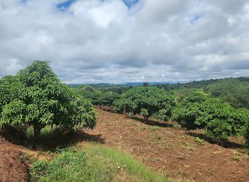 kenya/chyulu-hills-national-park/attraction/thwake-bridge