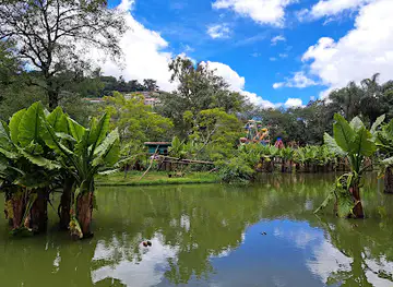 Tsimbazaza Zoo and Botanical Gardens