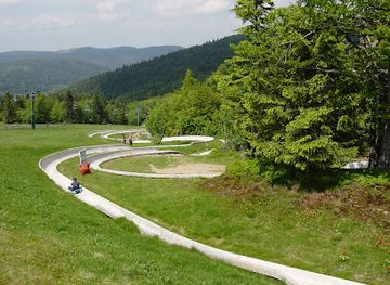france/vosges-mountains/attraction/luge-d-ete-col-de-la-schlucht