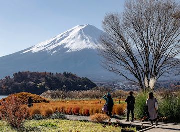 japan/mount-fuji/attraction/fuji-flower-child