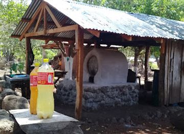 nicaragua/ometepe-island/attraction/finca-jose-rios-biometepe