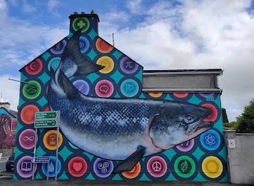 ireland/connacht/attraction/foxford-murals