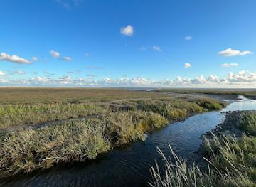 germany/north-frisia/attraction/salzwiesen