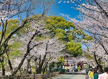 japan/kyushu/attraction/miyukizaka