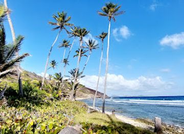 saint-vincent-and-the-grenadines/saint-andrew/attraction/petit-nevis-whaling-station