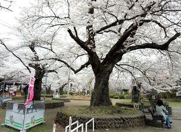 japan/etchu/attraction/mizusawa-park