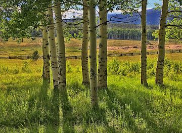 utah/flaming-gorge-national-recreation-area/attraction/stringham-historic-cabin