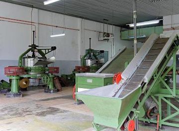 seychelles/anse-boudin/attraction/tea-factory