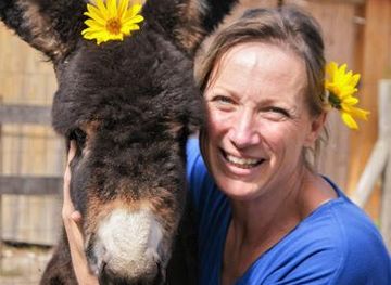 france/la-rochelle/attraction/parc-du-coq-a-l-ane