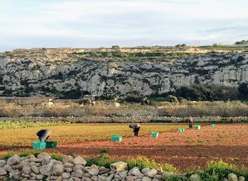 malta/tas-silg-area/attraction/il-widna