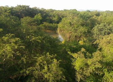 cameroon/north-region/attraction/modzogo-gokoro-cameroon-national-park