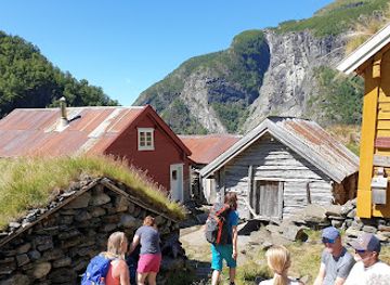 norway/gudvangen/attraction/sinjarheim