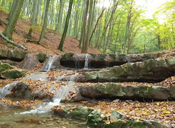 hungary/southern-transdanubia/attraction/ferde-vizeses-tunder-lepcso