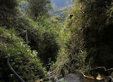 bolivia/yungas-road/attraction/cascada-rio-kotoni