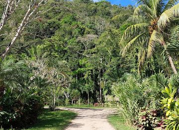belize/mountain-pine-ridge-forest-reserve/attraction/mike-s-place