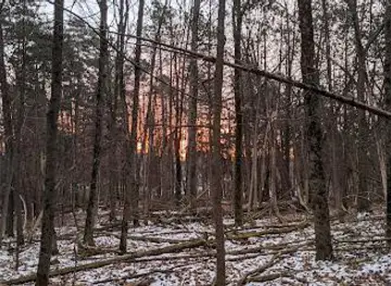 Pine Hill