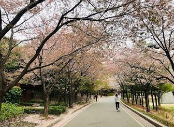 south-korea/suwon/attraction/boramae-park