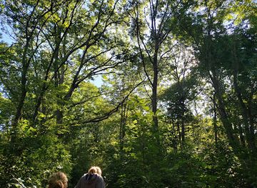 rhode-island/napatree-point-conservation-area/attraction/mastuxet-brook-greenway-south