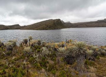colombia/bogota/attraction/north-entrance-natural-sumapaz-national-park