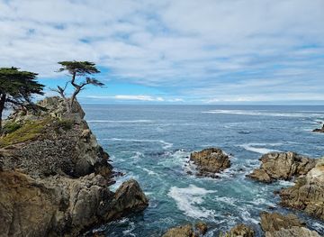 california/south-coast/attraction/lone-cypress